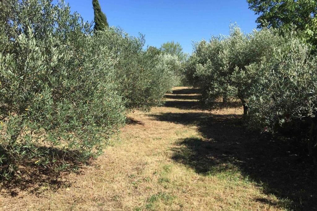 Вилла Bastide Derroc Котиньяк Экстерьер фото